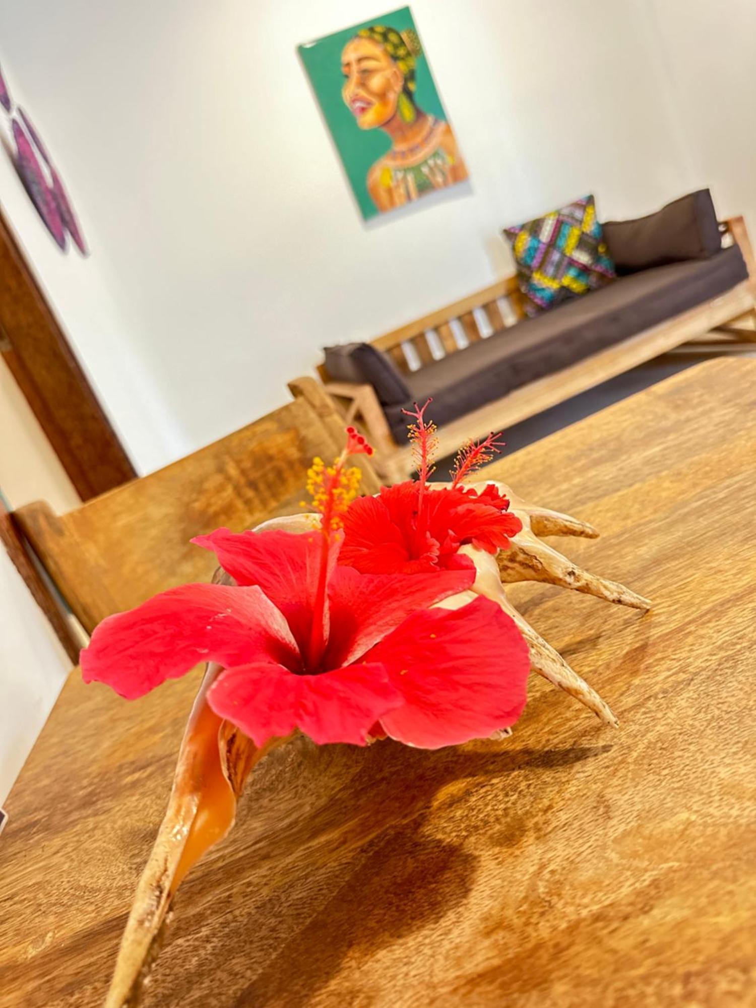 Sand Beach Boutique Apartments Bwejuu Extérieur photo