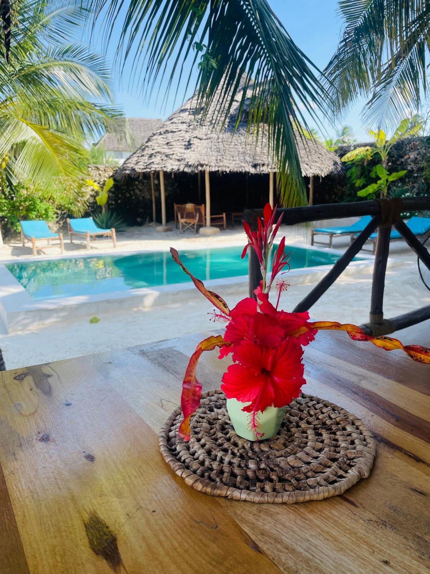 Sand Beach Boutique Apartments Bwejuu Extérieur photo