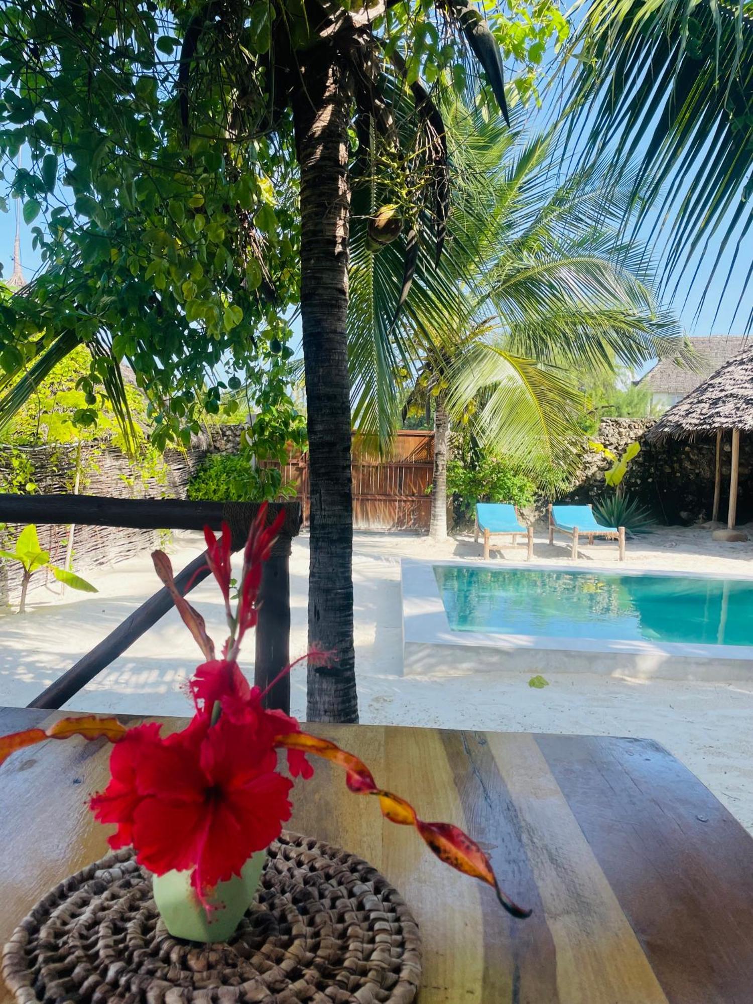 Sand Beach Boutique Apartments Bwejuu Extérieur photo